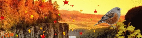 обложка для мой мир - Осень