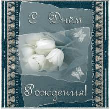открытка с белыми розами - с днем рождения - Открытки с днем рождения для Одноклассников