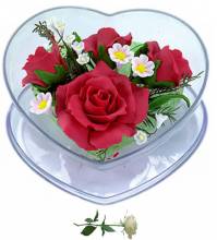 Цветы для любимой - Открытки цветы для Одноклассников