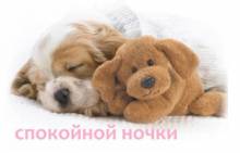 Спокойной ночи подруге - Открытки спокойной ночи для Одноклассников