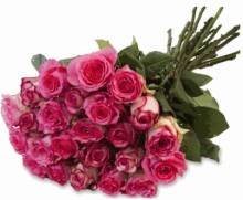 Открытка с розами - Открытки цветы для Одноклассников