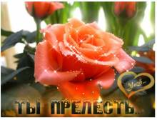 Ты прелесть - Открытки цветы для Одноклассников