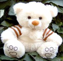 Плюшевый медвежонок - Открытки с плюшевыми мишками для Одноклассников