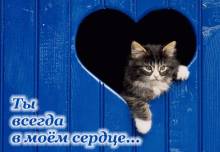 Ты в моем сердце - Открытки любовь для Одноклассников