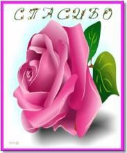открытка спасибо с розой - Открытки спасибо для Одноклассников