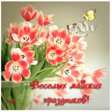 Веселых майских праздников - Открытки 1 мая для Одноклассников