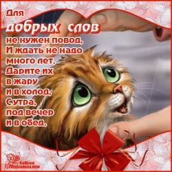 Красивая открытка с днем доброты - Открытки с днем доброты для Одноклассников