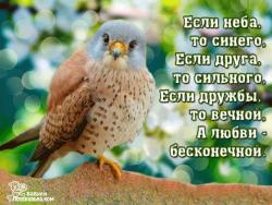 Открытка с шикарными пожеланиями - Открытки пожелания для Одноклассников