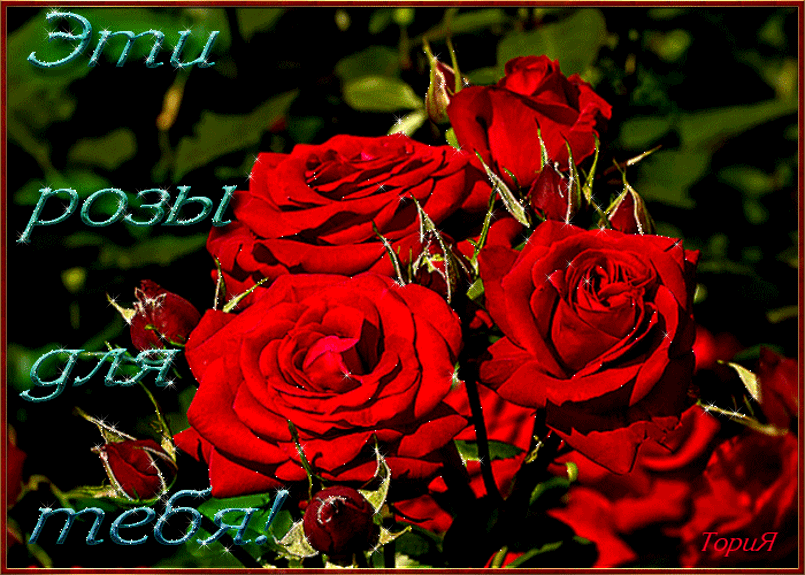 Розы Для Поздравления Светлану