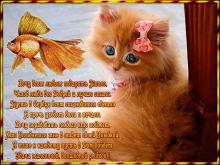 поздравительная открытка пожелания - анимашка рыжий котик и золотая рыбка