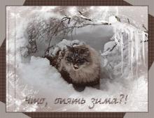 поздравительная открытка зима - что опять зима открытка