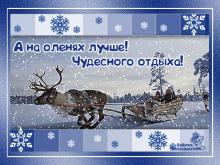 поздравительная открытка зима - зимний отдых а на оленях лучше открытка