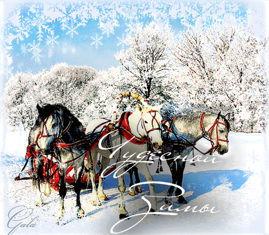 поздравительная открытка зима