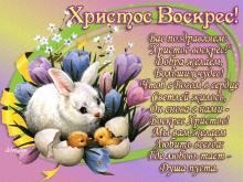 поздравительная открытка пасха - красивая открытка с зайчиком к пасхе