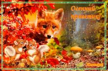 поздравительная открытка осенний привет - красивая открытка осень
