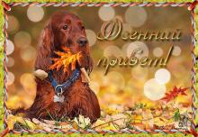 поздравительная открытка осенний привет - анимашка с собакой и листьями