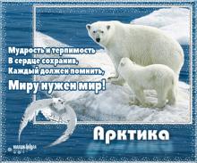 поздравительная открытка с международным днем мира - миру нужен мир открытка арктика