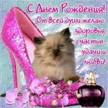 поздравительная открытка с днем рождения девушке - открытка с котенком и цветами девушке