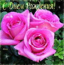поздравительная открытка с днем рождения - открытка блестящая с розами