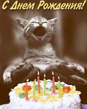 поздравительная открытка прикольные с днем рождения - открытка котенок  торт и свечи