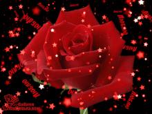 поздравительная открытка валентинки - анимированная роза