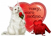 поздравительная открытка валентинки - валентинка с котиком и сердечками