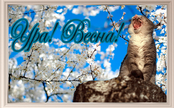 поздравительная открытка первый день весны