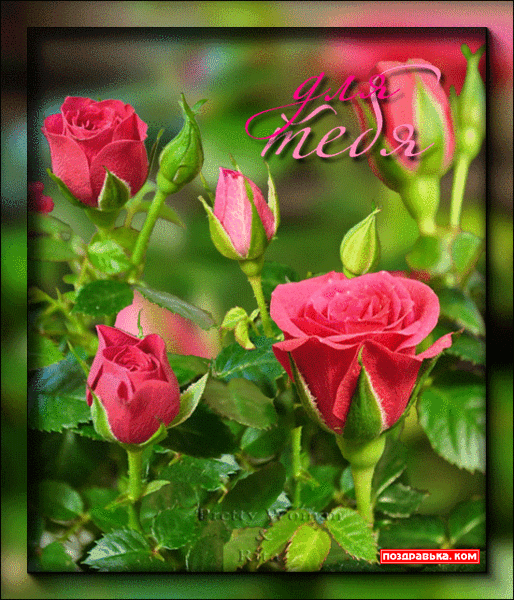 поздравительная открытка цветы