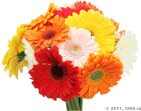 поздравительная открытка цветы