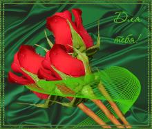 поздравительная открытка для тебя - красивые розы для тебя открытка