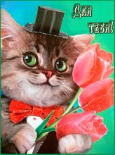 поздравительная открытка для тебя - красивый котик для тебя открытка