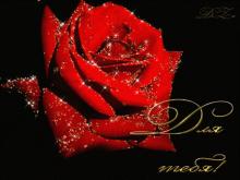 поздравительная открытка для тебя - блестящая открытка для тебя роза