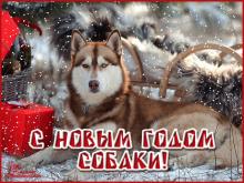 поздравительная открытка с Новым Годом собаки - анимация поздравление с новым годом собаки С новым годом открытка