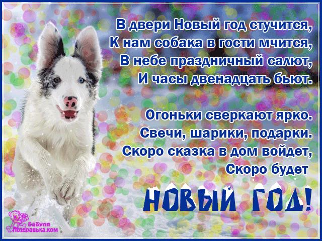 поздравительная открытка с Новым Годом собаки