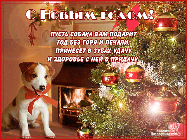 поздравительная открытка с Новым Годом собаки