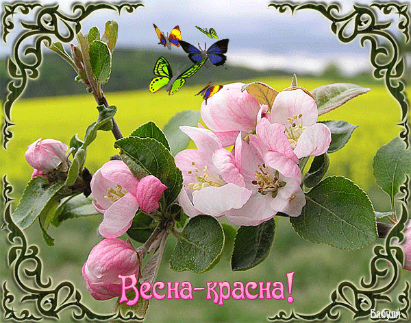 поздравительная открытка весна - Открытка с цветами к весне