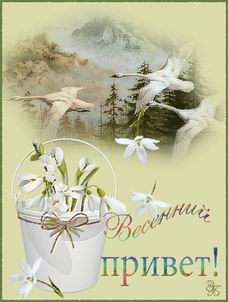 поздравительная открытка весна