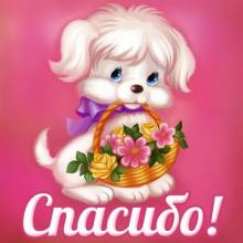 поздравительная открытка спасибо - картинка с собачкой и цветами