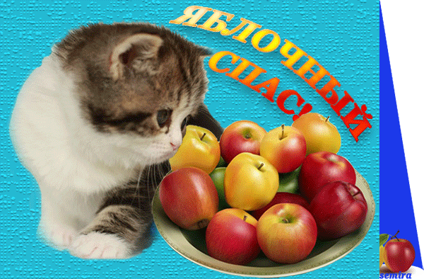 поздравительная открытка яблочный спас